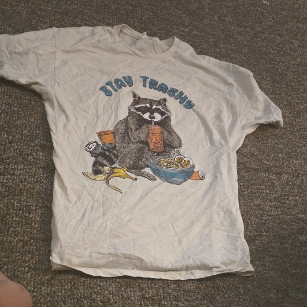 Cute Racoon Fruit of the Loom Cream HD Cotton T-Shirt